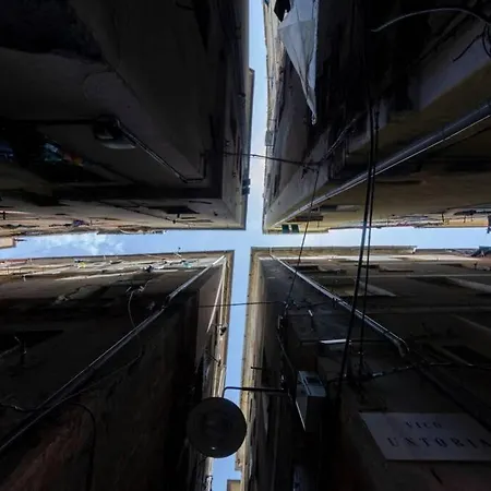 Castelli's Campo 13 *